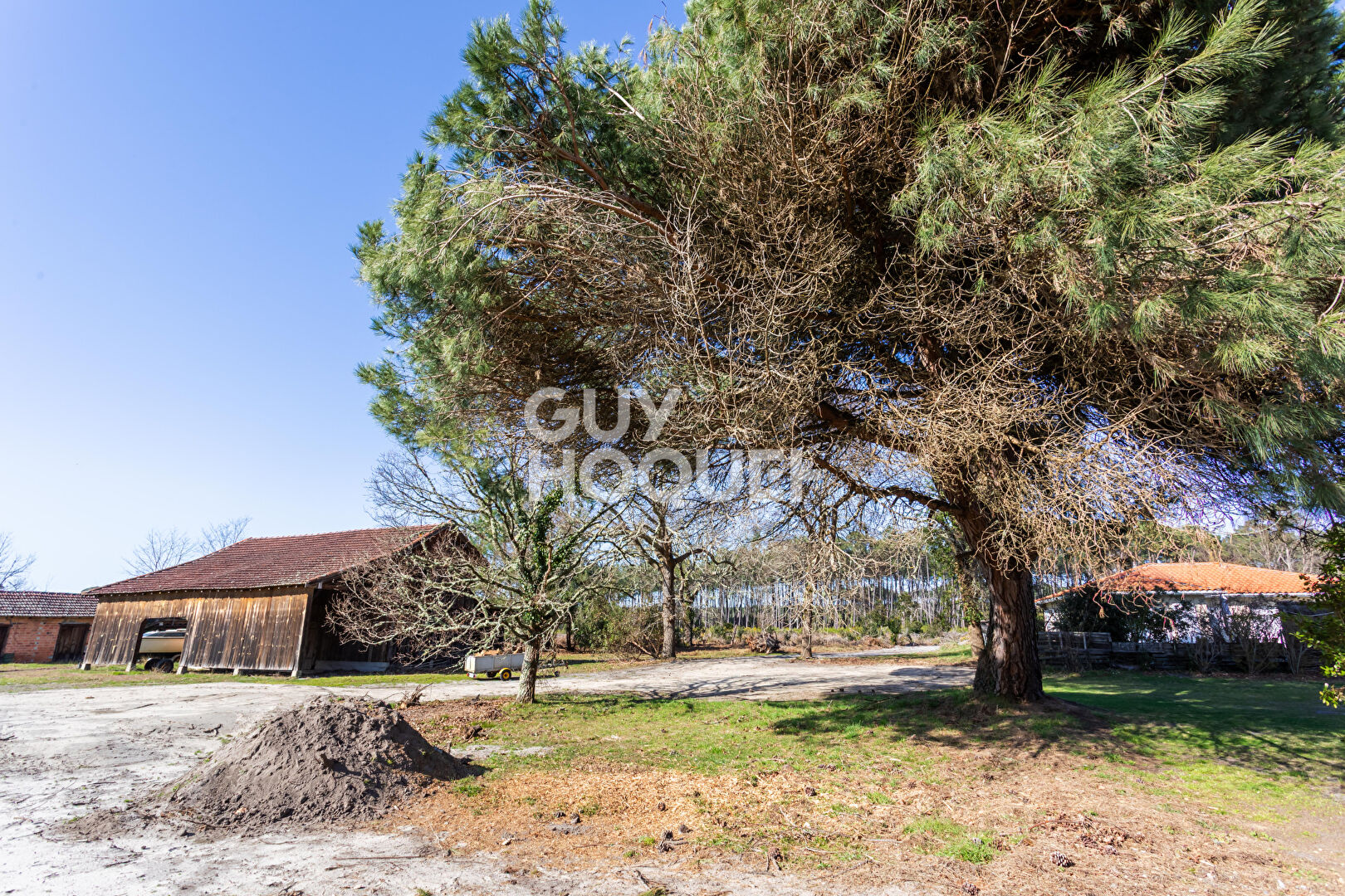 Terrain Biscarrosse 1259 m²