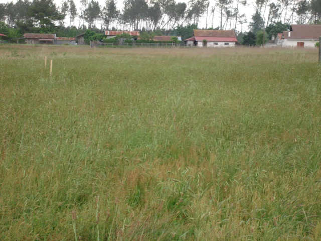 40 - DANS CHARMANT VILLAGE LANDAIS