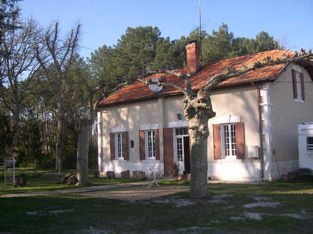 40 - PROCHE MIMIZAN