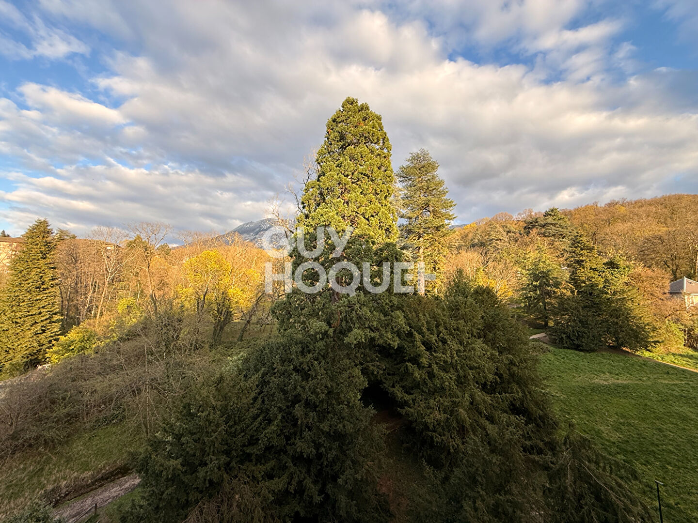 Grand studio T1 bis meublé avec coin cuisine et nuit séparé