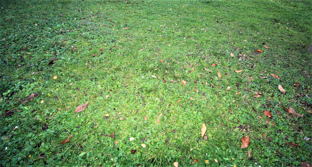 Terrain Andresy 450 m2