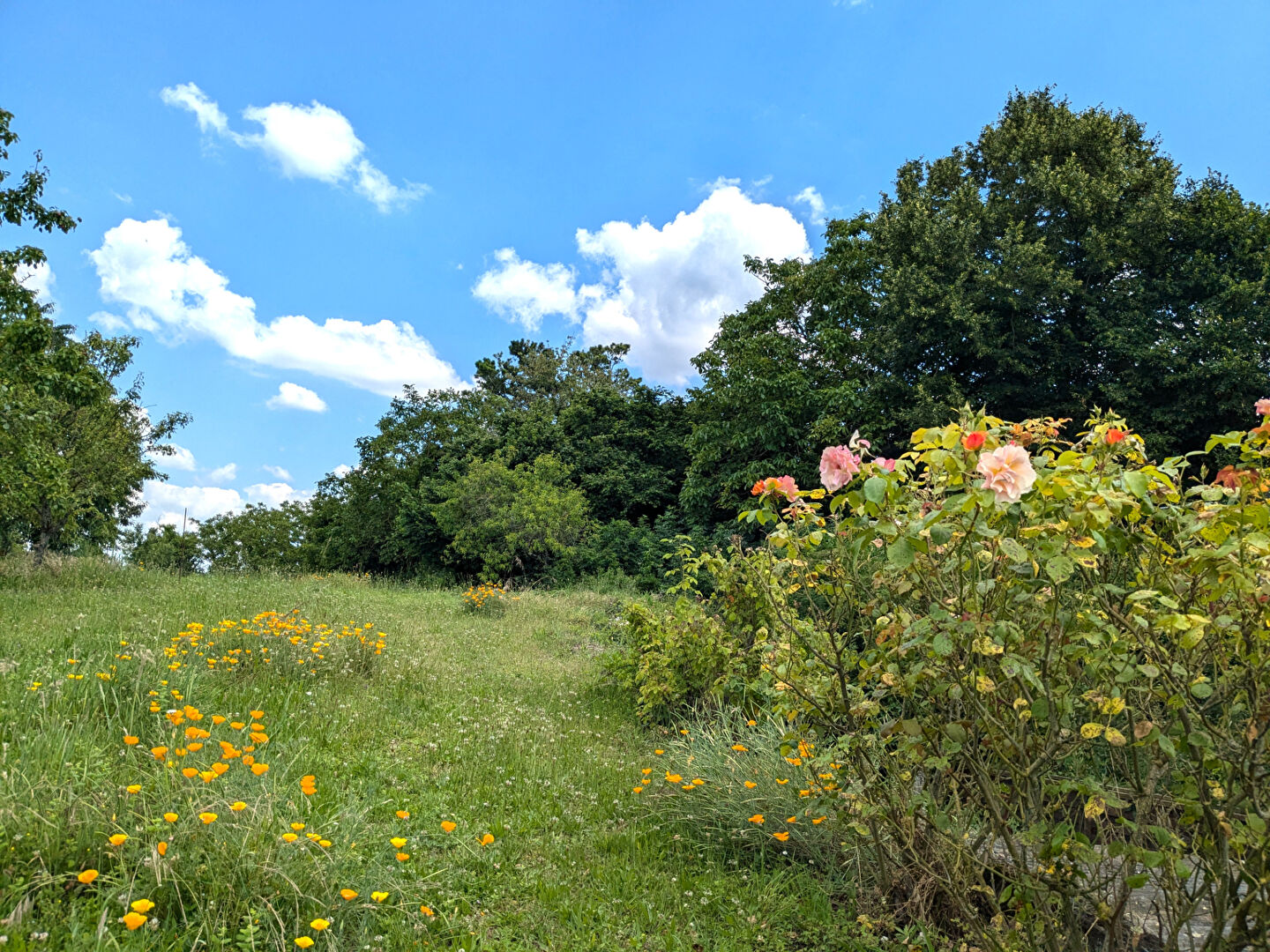 Maison Vouneuil-sur-Vienne 75m2 - Proche de Moulière