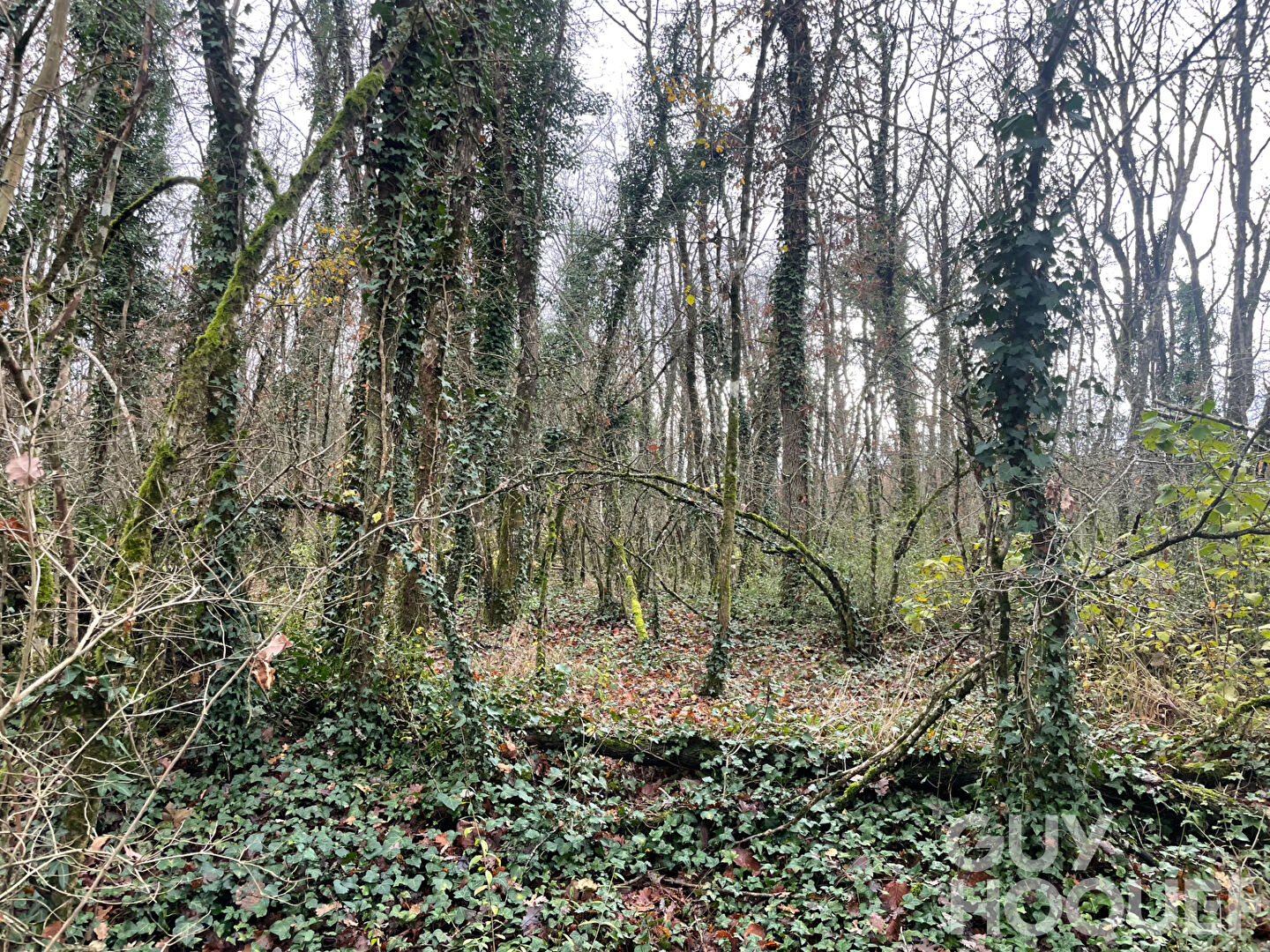 Terrain Migne Auxances 3108 m2