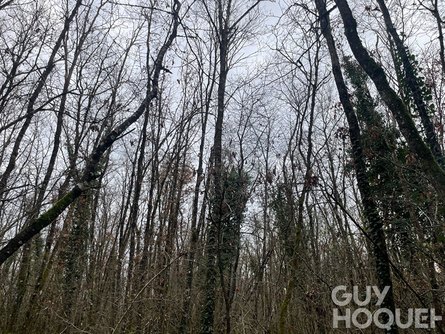 Terrain Migne Auxances 3108 m2