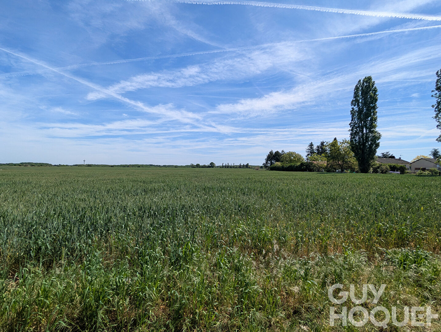 Foncier rare : Votre projet sur mesure ici