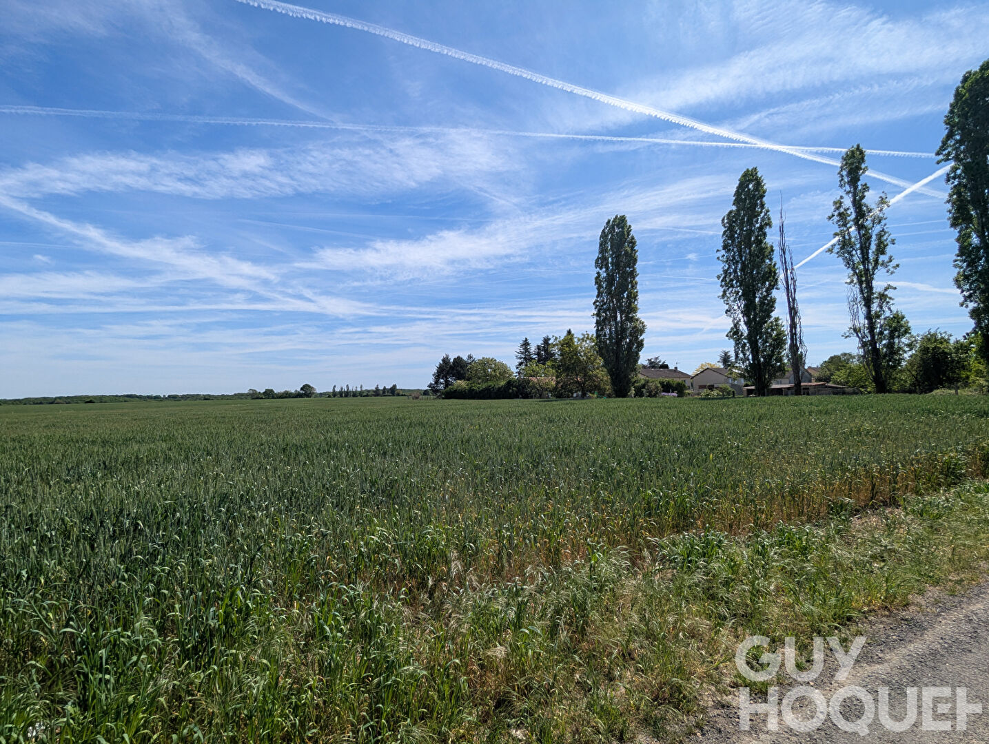 Foncier rare : Votre projet sur mesure ici