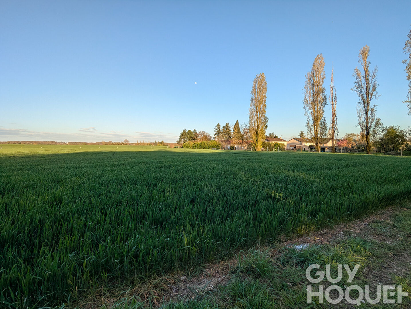 Foncier rare : Votre projet sur mesure ici