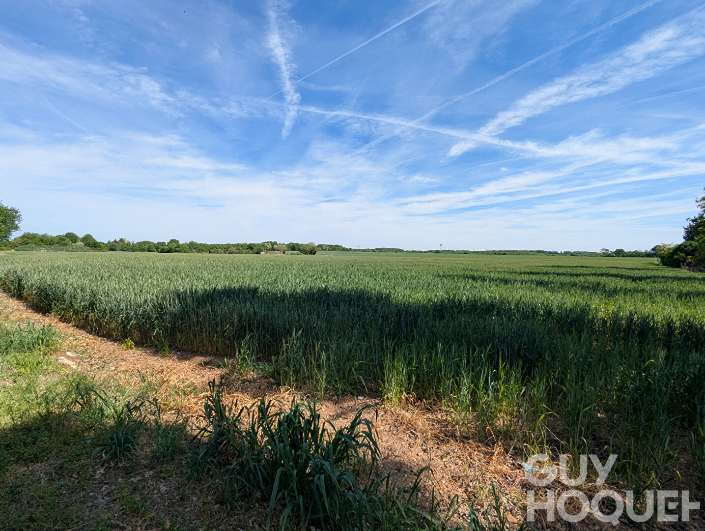 1232 m2 de calme, la tondeuse en option