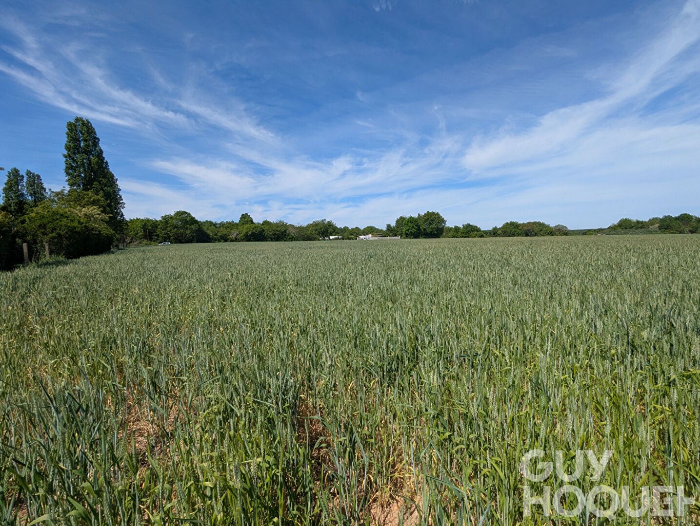 Havre de paix de plus de 2000m²