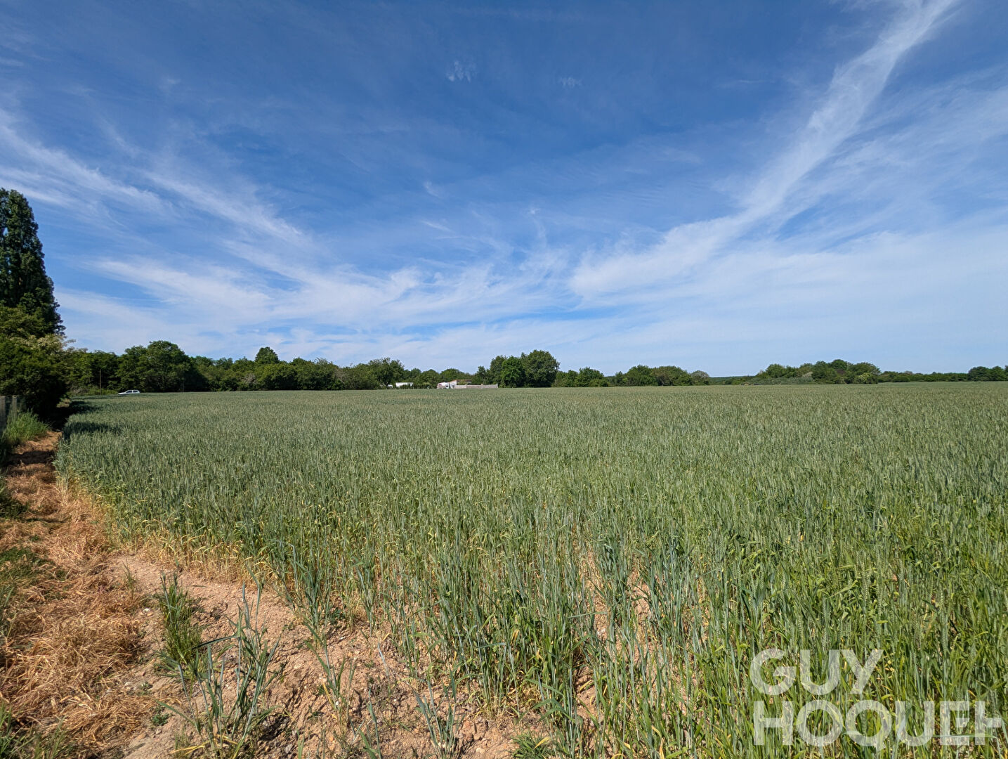 Havre de paix de plus de 2000m²