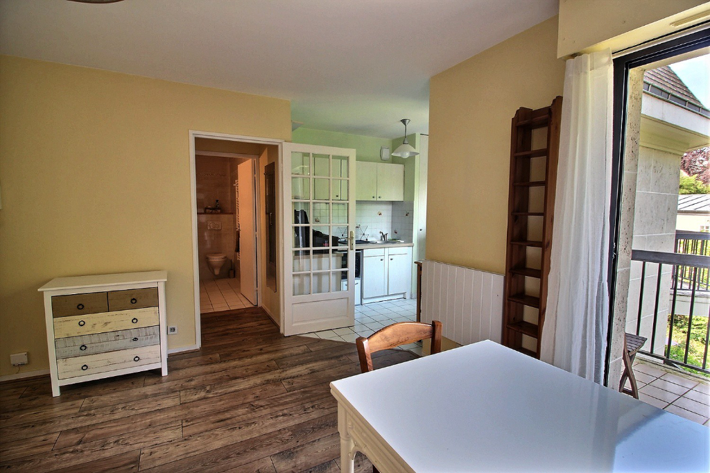 SCEAUX : Grand studio meublé avec terrasse