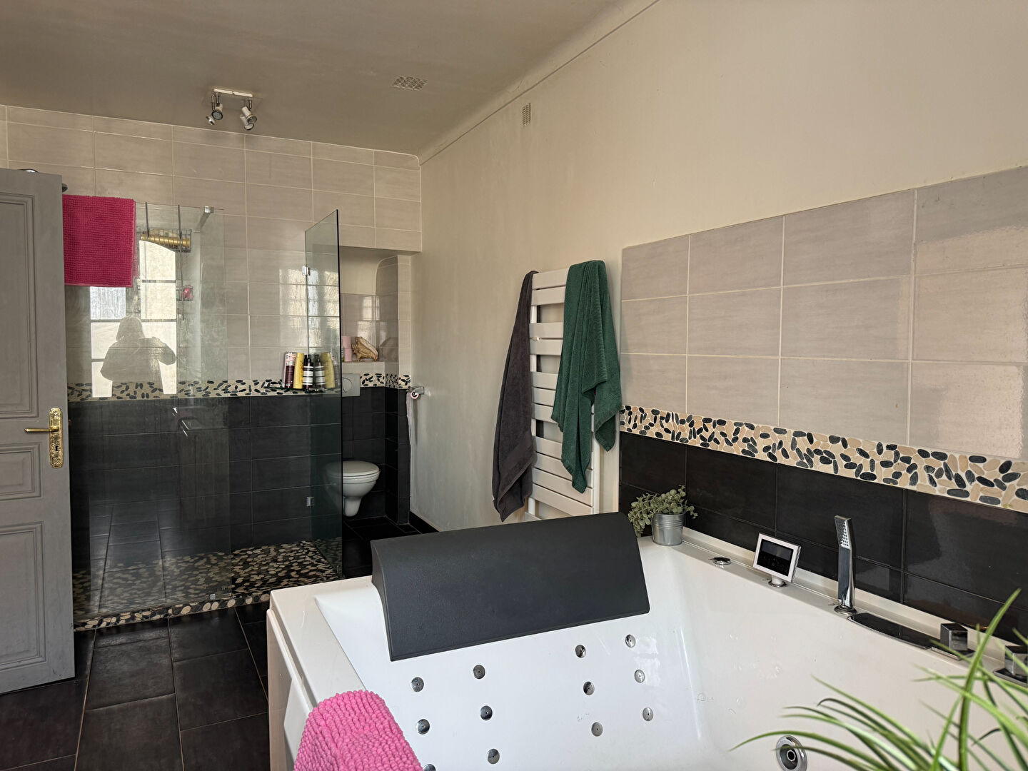 Maison  de maître 308 m2 habitables à Saint Jean Du Falga