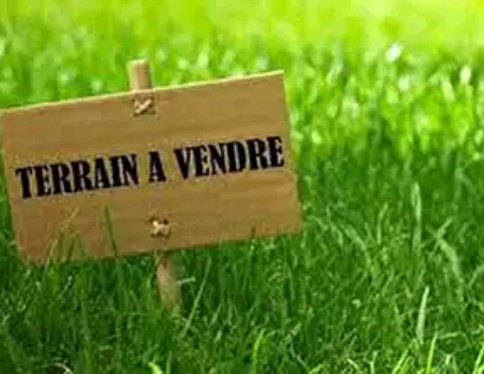 Terrain Viabilise A Vendre Sur La Commune De Meylan Guy