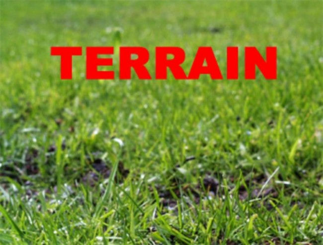 TERRAIN (avec petite maison à démolir)