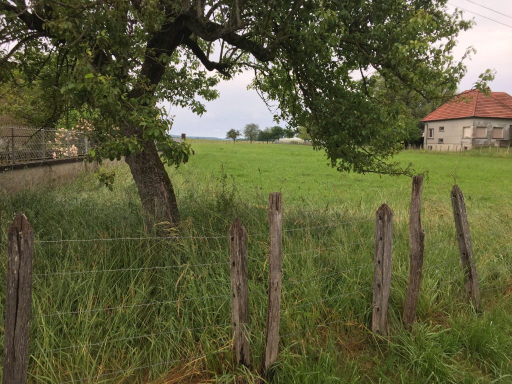 Beau terrain plat de 125 ares dont une partie est constructible sur l'axe Besançon - Dijon