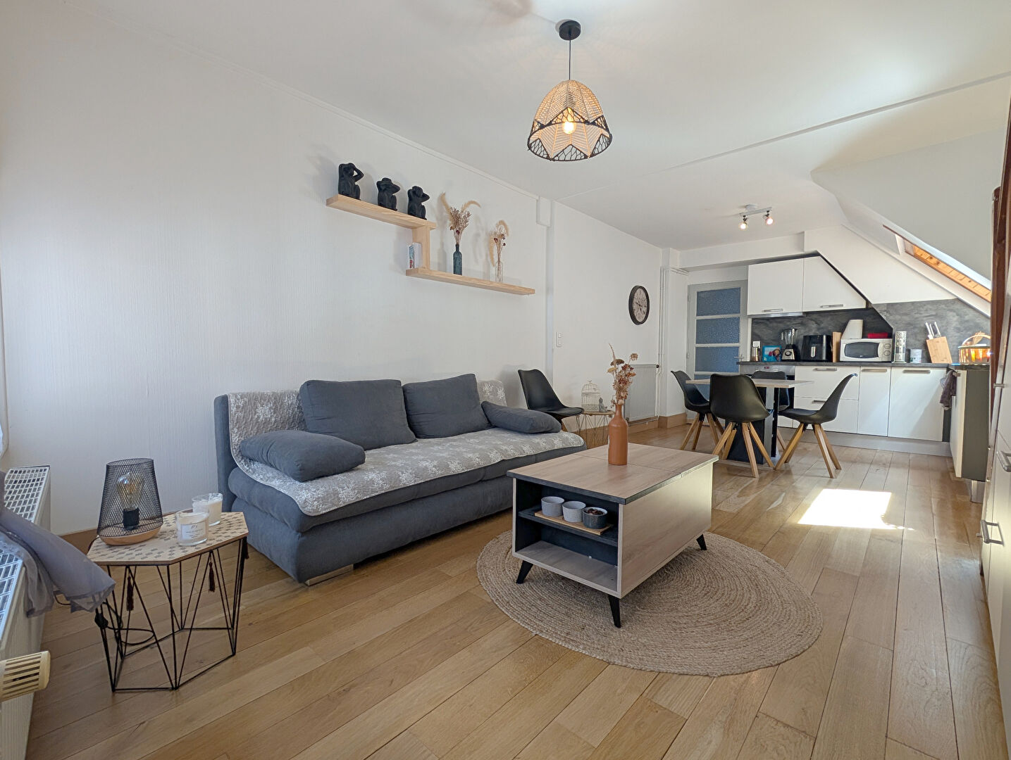 Appartement meublé 1 chambre + mezzanine