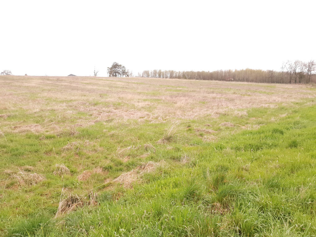 Terrain plat 60 ares, à viabiliser