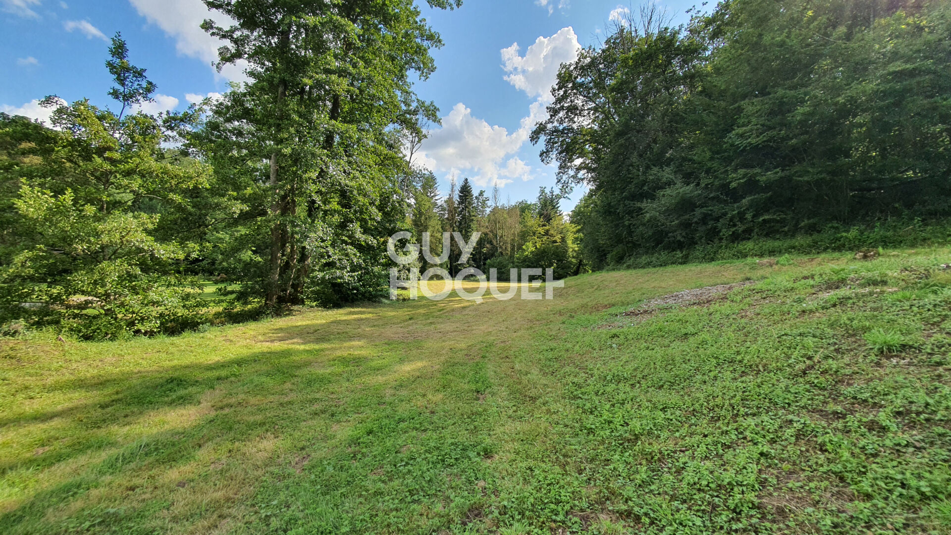 Rare à la vente, Terrain d'agrément  jardin et bois