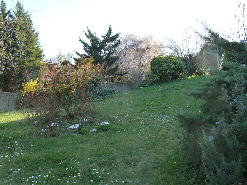 COLLONGES AU MONT D'OR