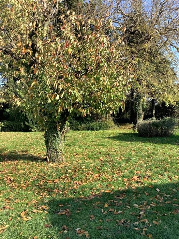 SAVIGNEUX