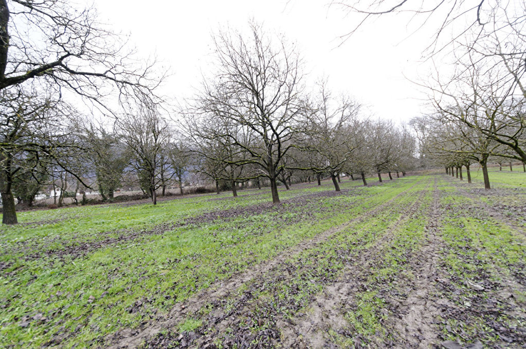 Terrain Tencin