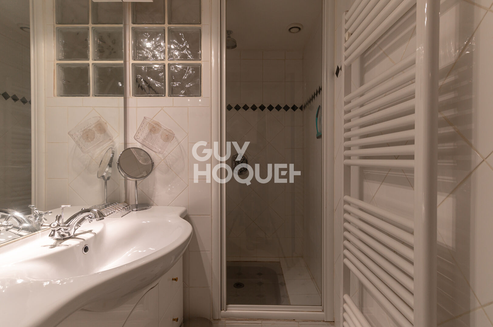 Magnifique appartement atypique quai st Vincent-passage Gonin - avec parking