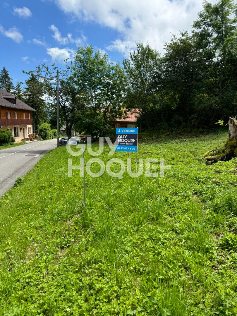 Terrain  viabilisé et débroussaillé  libre constructeurs Thollon Les Memises