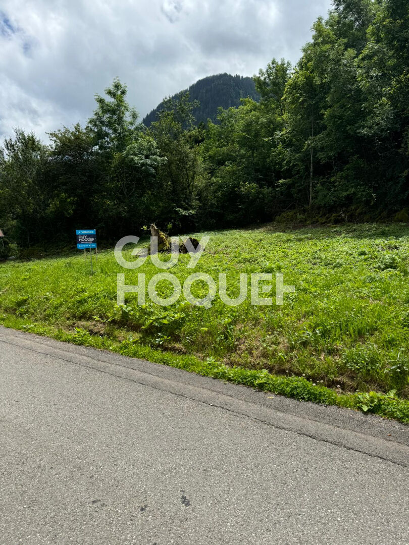Terrain  viabilisé et débroussaillé  libre constructeurs Thollon Les Memises