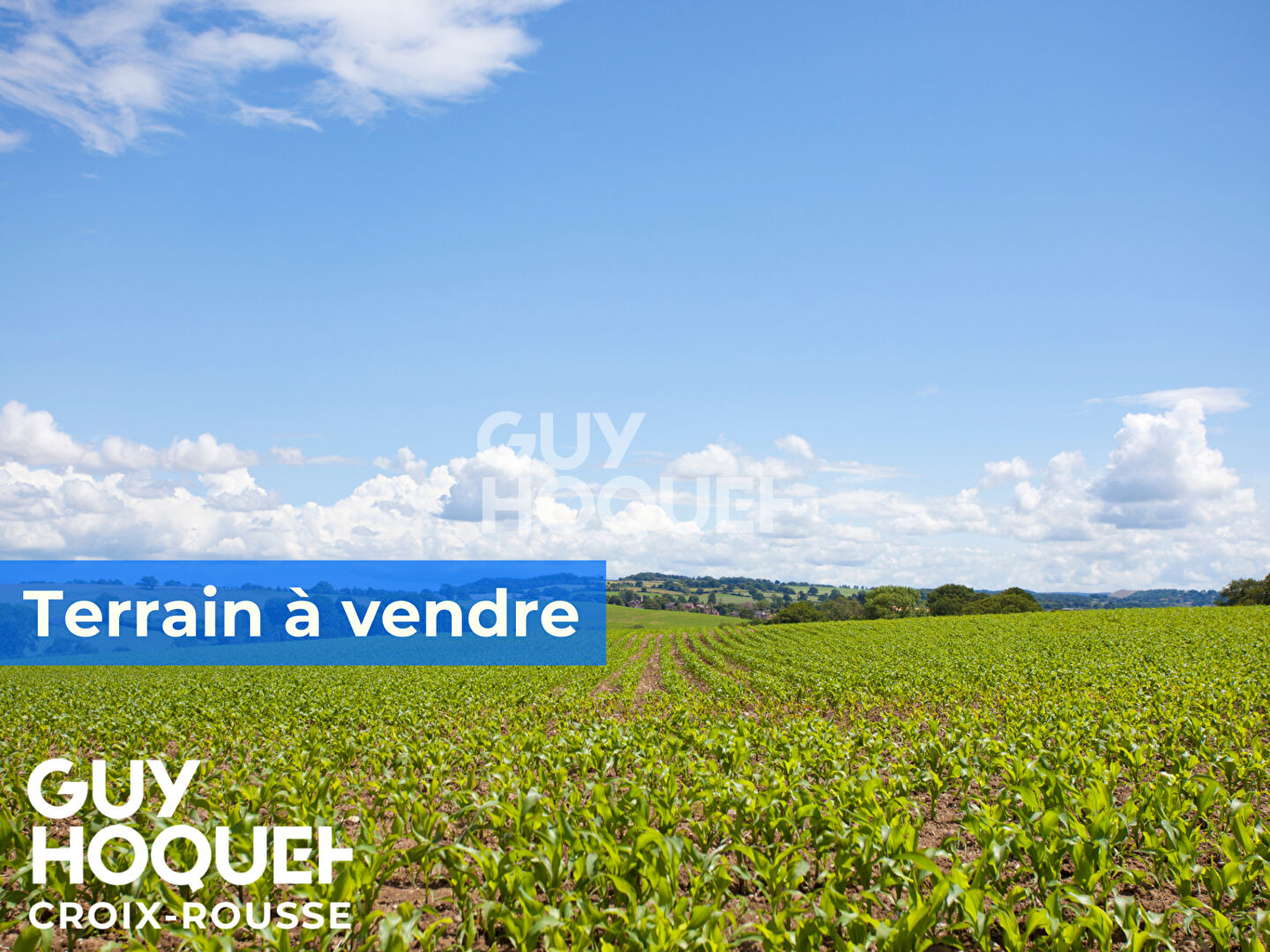 Terrain Constructible et Piscinable Ecully 1000m²