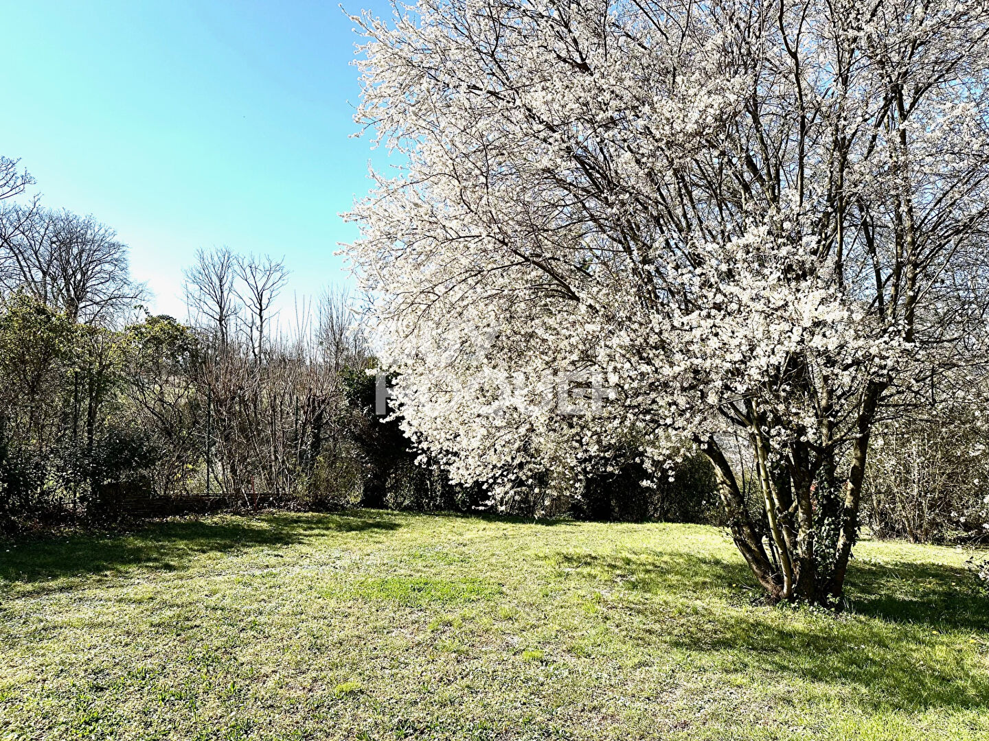 Maison familiale  3 niveaux sur terrain de 1 800 m²