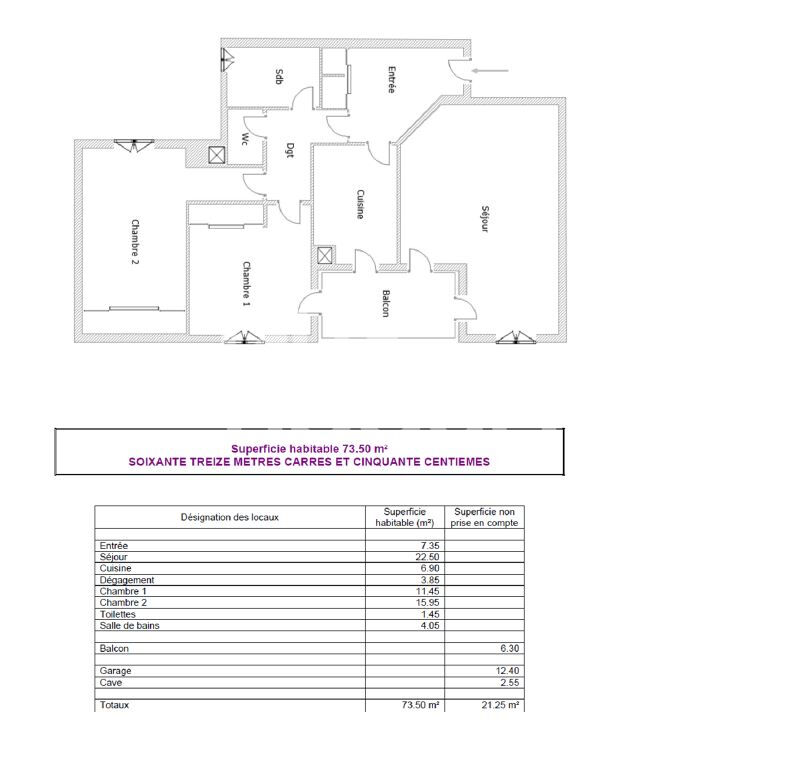 Appartement Lyon 3 pièce(s) 73.50m2 Garage - balcon - cave vendu loué