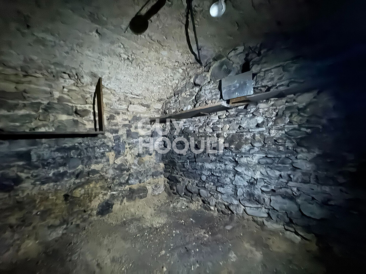 Cave à vendre plateau croix rousse - rue Henri Gorjus