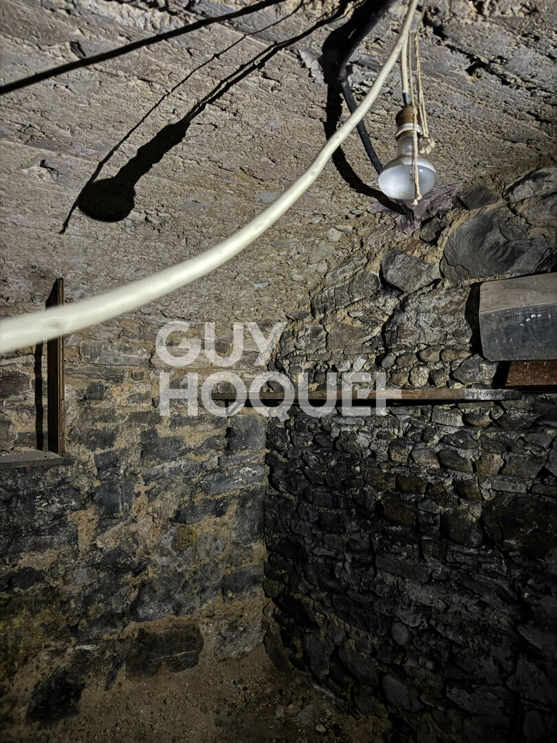 Cave à vendre plateau croix rousse - rue Henri Gorjus