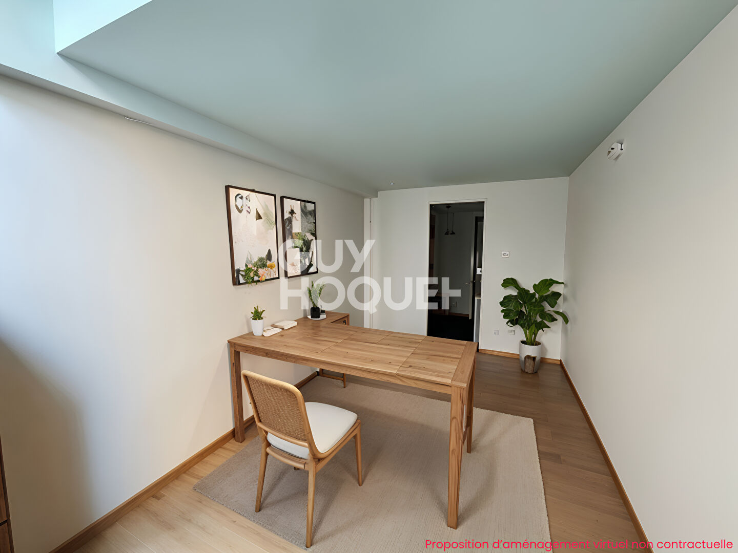Loft ou local double usage possible plateau croix rousse