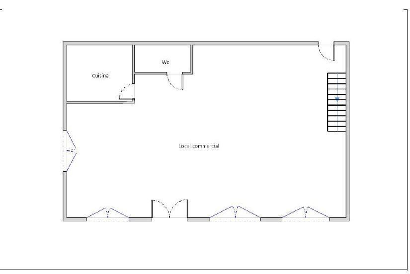Loft ou local double usage possible plateau croix rousse
