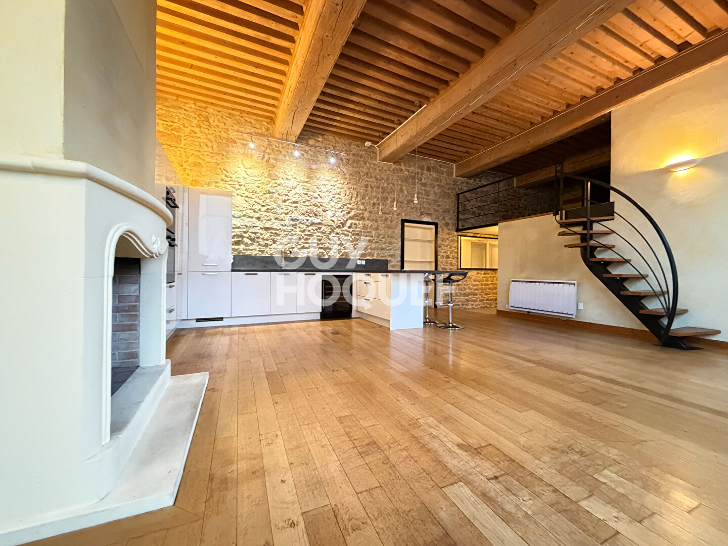 Grand T2 possible T3 Canut plateau Croix Rousse proche boulevard