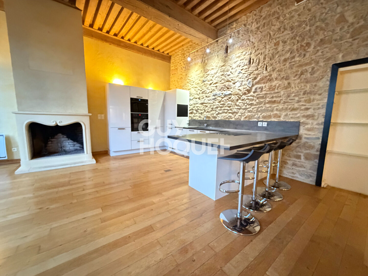 Grand T2 possible T3 Canut plateau Croix Rousse proche boulevard