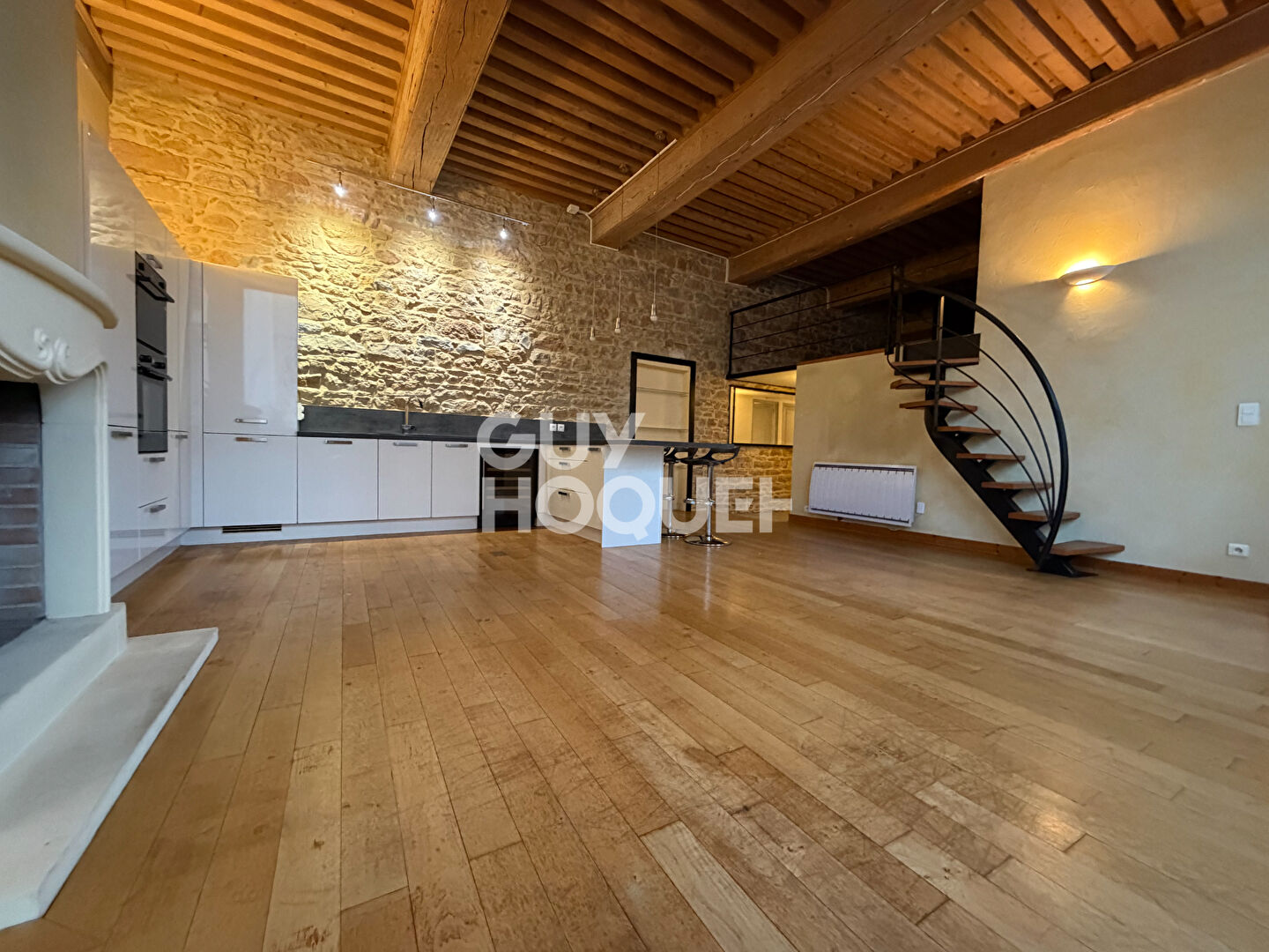 Grand T2 possible T3 Canut plateau Croix Rousse proche boulevard