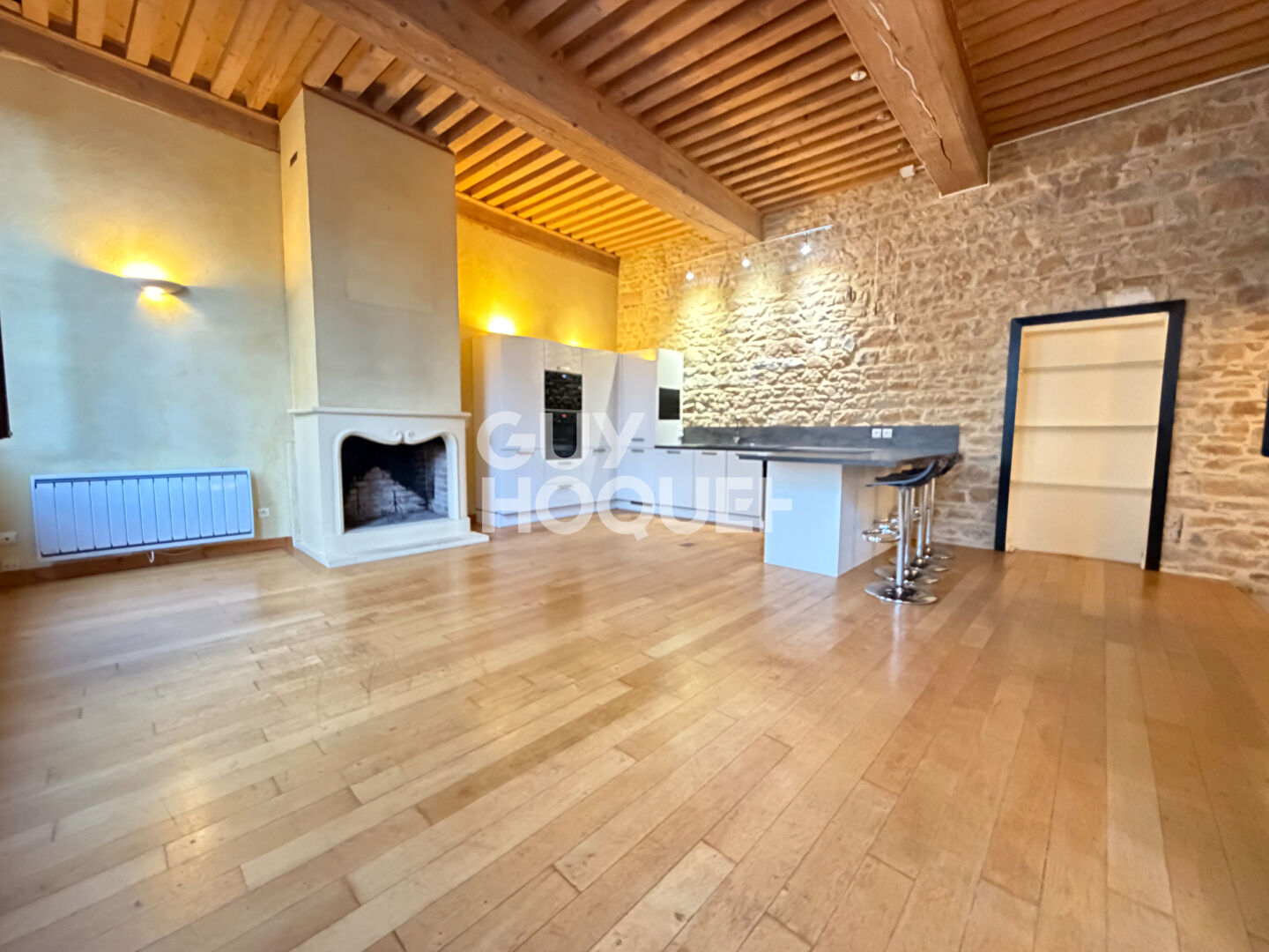 Grand T2 possible T3 Canut plateau Croix Rousse proche boulevard