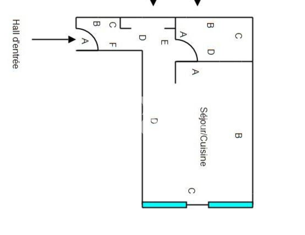 Appartement rénové Lyon 1er