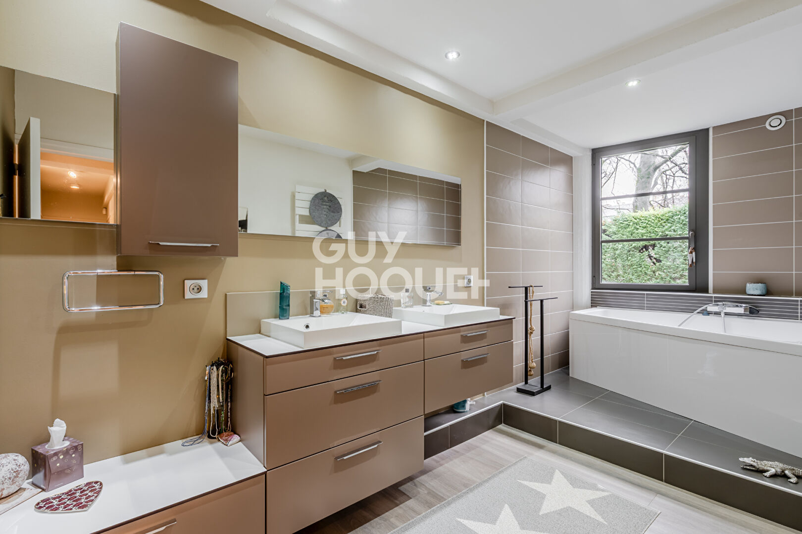 Loft Sainte Foy Les Lyon  / Lyon5  156 m2 carrez et 359 M2 de jardin -parking - climatisation et cave