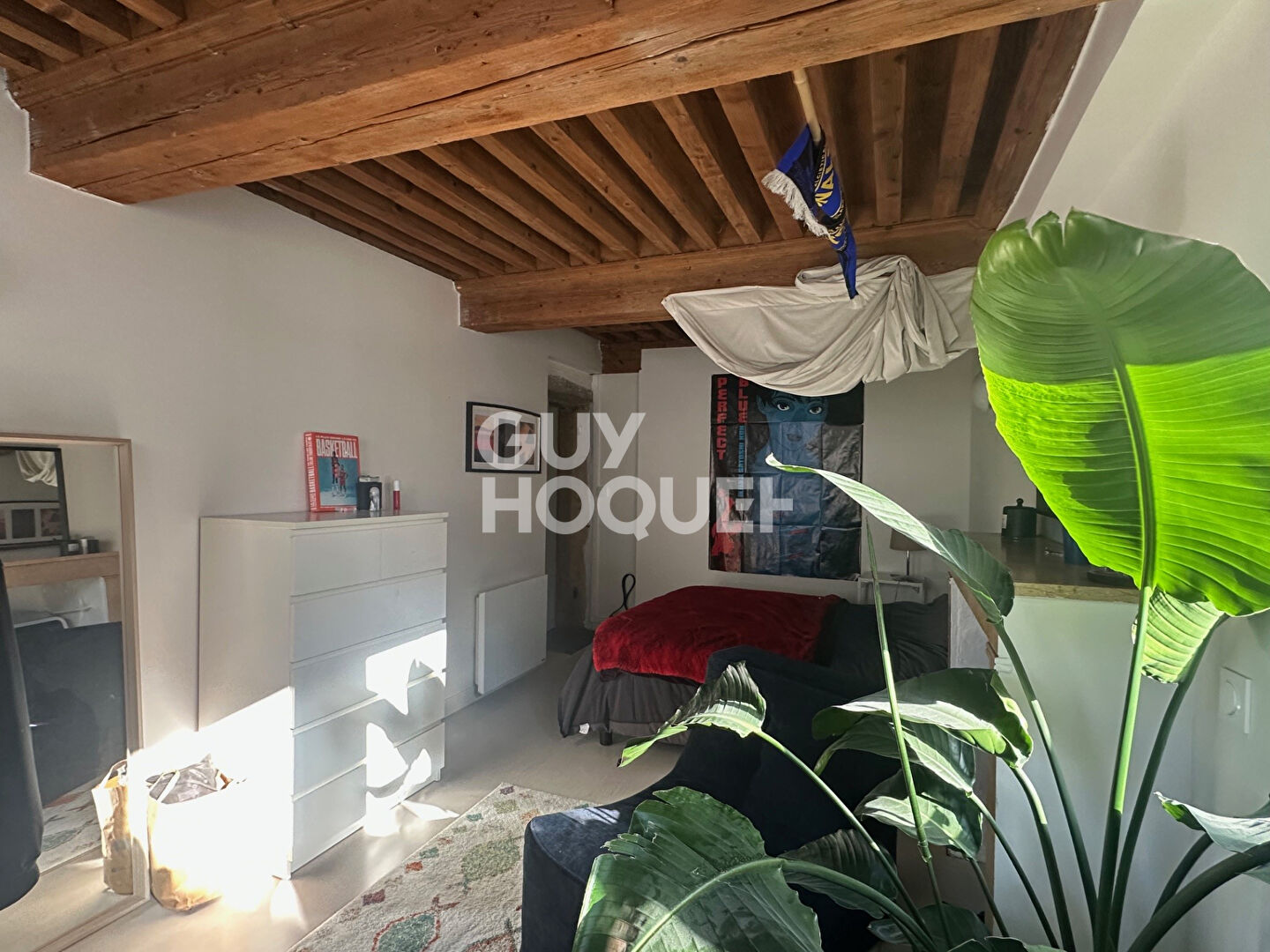 Appartement  duplex - rue de la Platière