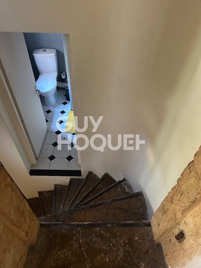 Appartement  duplex - rue de la Platière