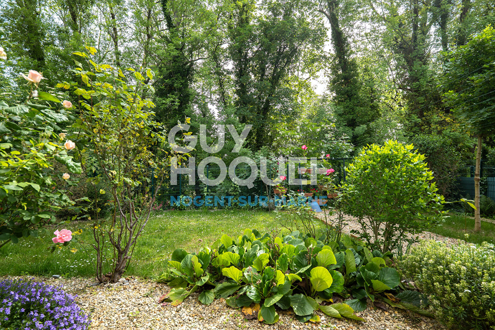 LOCALISATION - CHARME - POTENTIEL