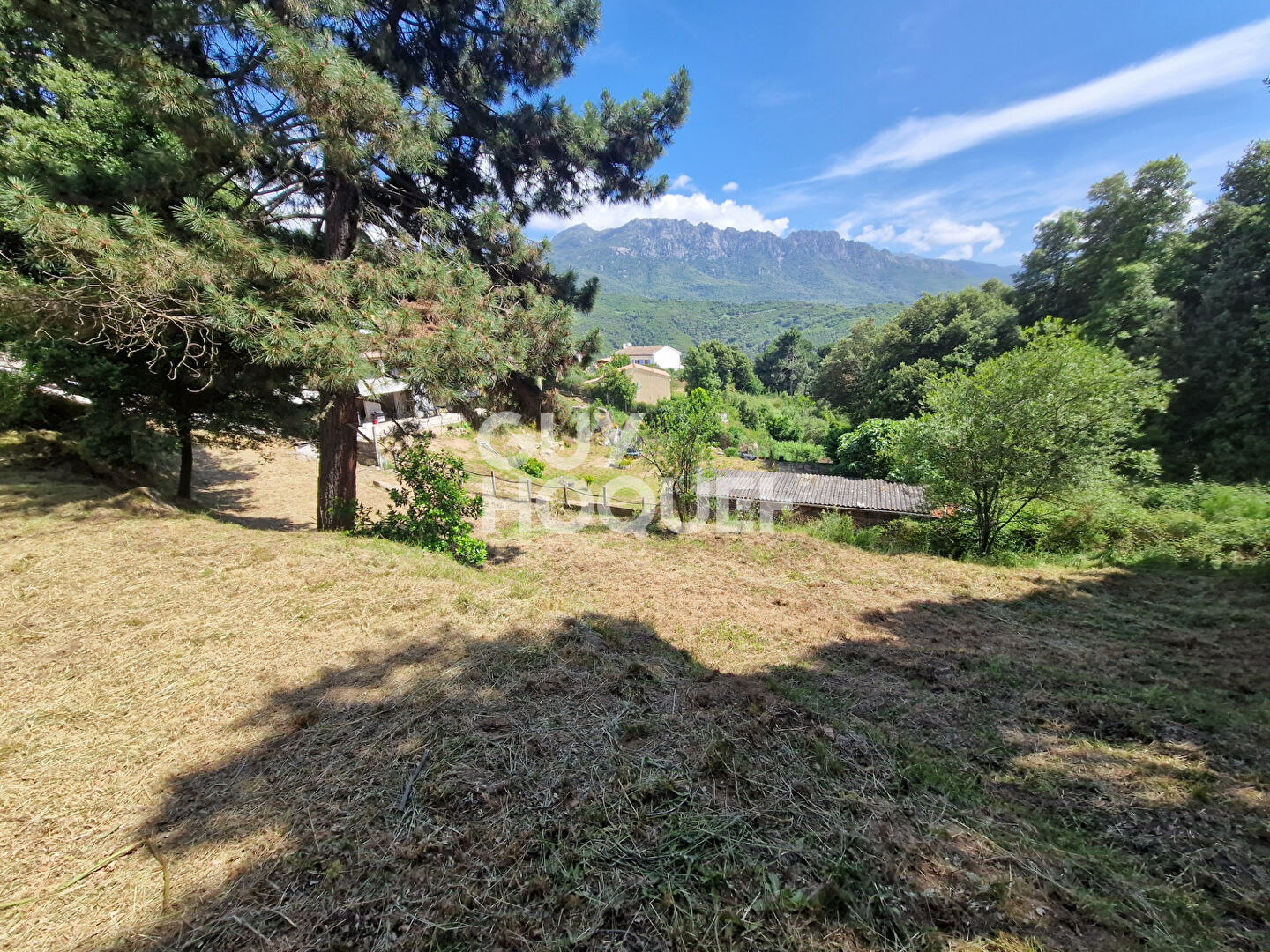 Terrain Vero 1204 m2