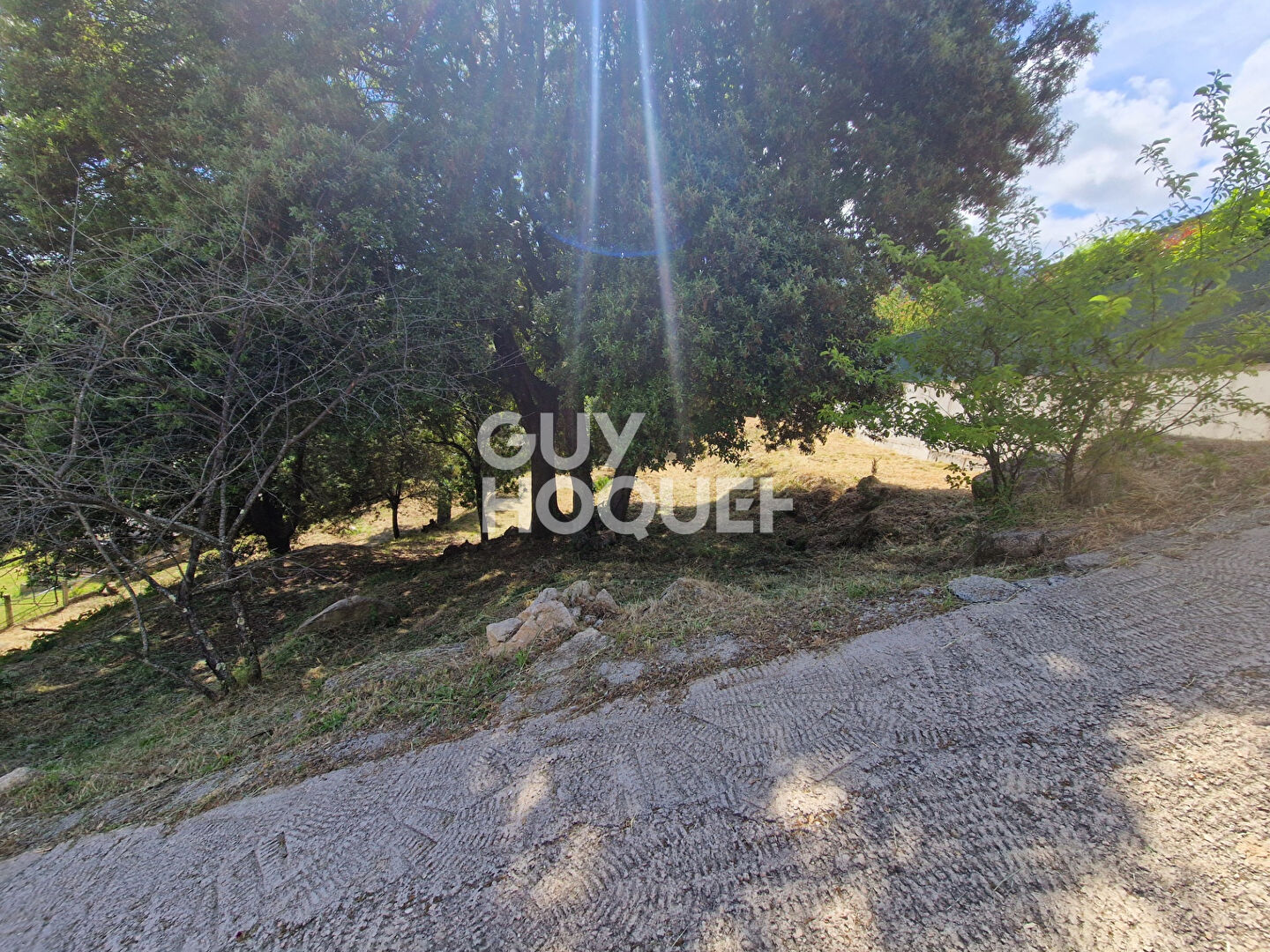 Terrain Vero 1204 m2