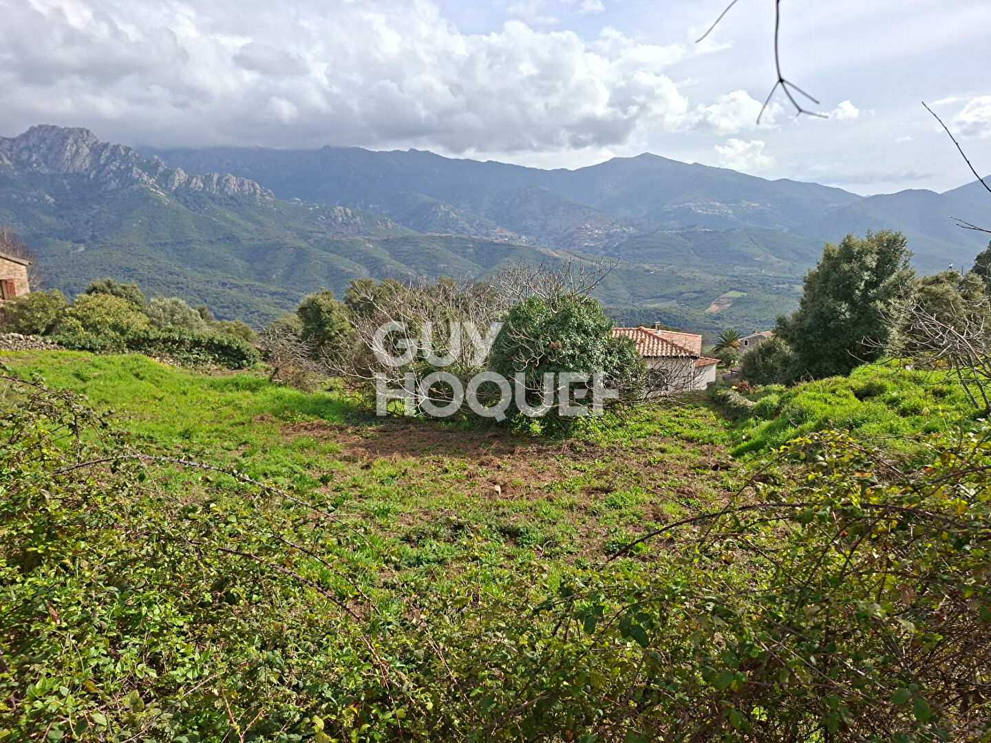 Terrain Tavaco 915 m2