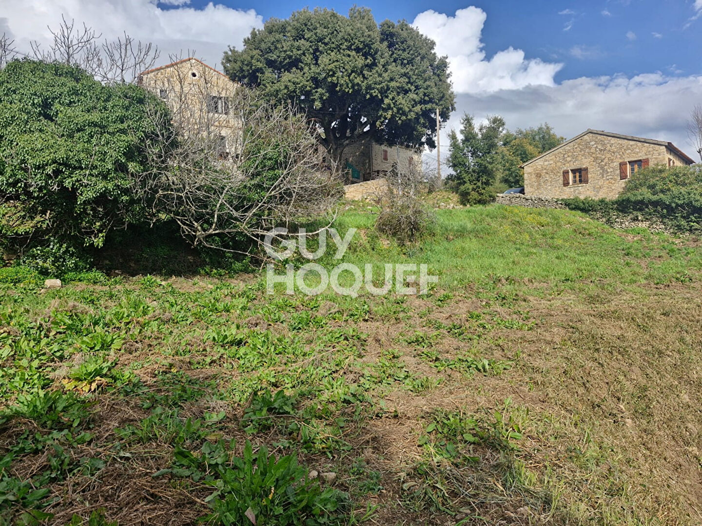 Terrain Tavaco 915 m2