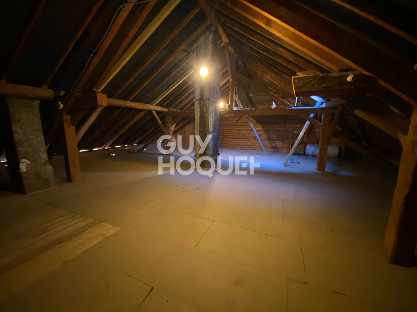 PLANCHERINE : maison T5 (163 m²) en vente