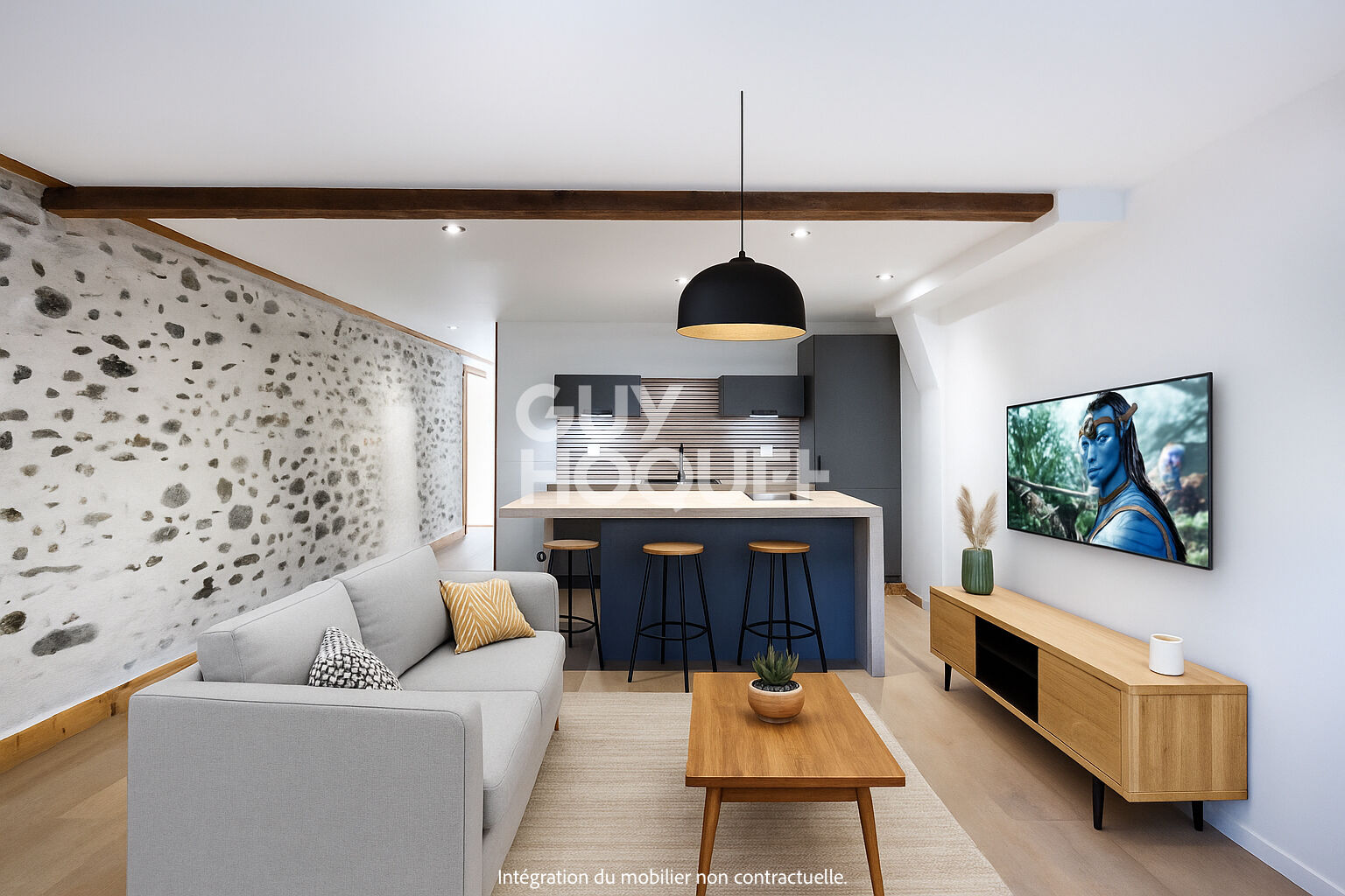 À vendre : Appartement poétique au coeur d'Albertville